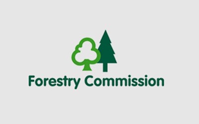 forestry.jpg
